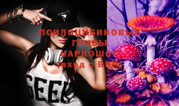 гидра Белоозёрский