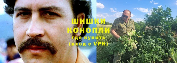 гидра Белоозёрский